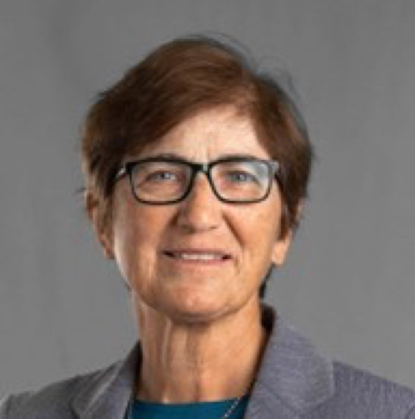 Portrait photograph of Prof. Susan L. Karamanian.